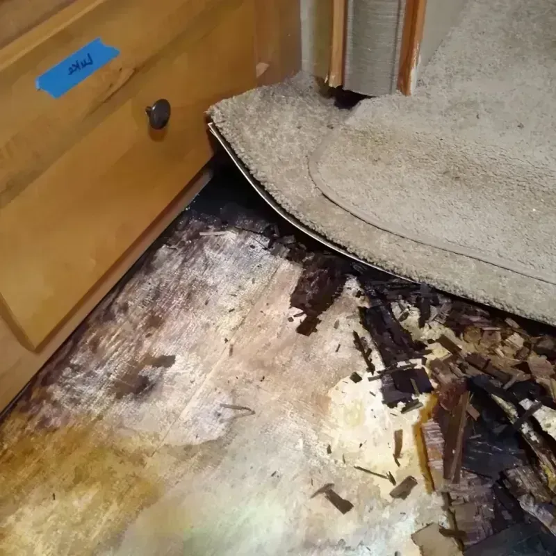 Wood Floor Water Damage in Ozark, AL